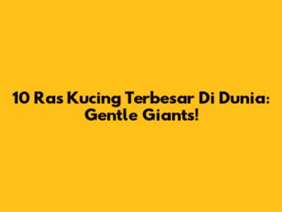 10 Ras Kucing Terbesar Di Dunia: Gentle Giants!