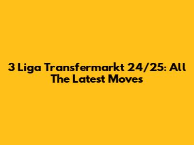 3 Liga Transfermarkt 24/25: All The Latest Moves