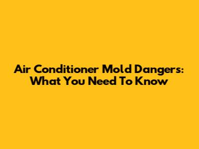 Air Conditioner Mold Dangers: What You Need To Know