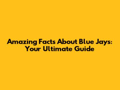 Amazing Facts About Blue Jays: Your Ultimate Guide