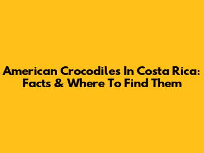American Crocodiles In Costa Rica: Facts & Where To Find Them