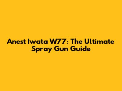 Anest Iwata W77: The Ultimate Spray Gun Guide
