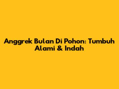 Anggrek Bulan Di Pohon: Tumbuh Alami & Indah