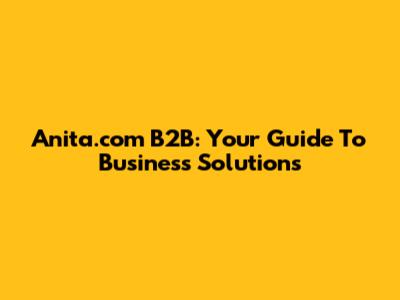 Anita.com B2B: Your Guide To Business Solutions