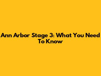 Ann Arbor Stage 3: What You Need To Know