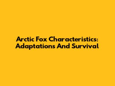 Arctic Fox Characteristics: Adaptations And Survival