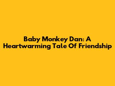 Baby Monkey Dan: A Heartwarming Tale Of Friendship