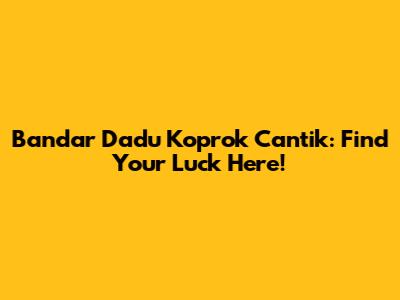 Bandar Dadu Koprok Cantik: Find Your Luck Here!