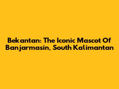 Bekantan: The Iconic Mascot Of Banjarmasin, South Kalimantan