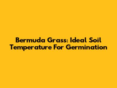 Bermuda Grass: Ideal Soil Temperature For Germination