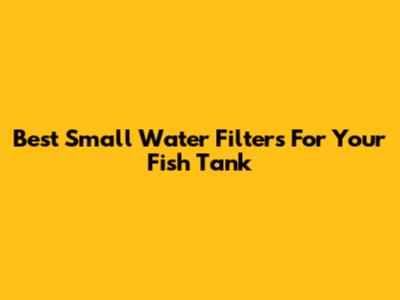 Best Small Water Filters For Your Fish Tank