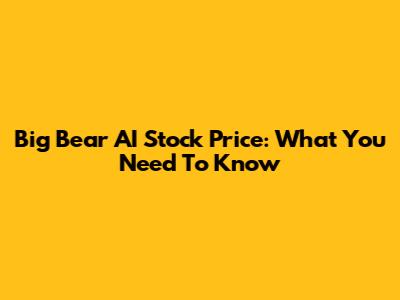 Big Bear AI Stock Price: What You Need To Know