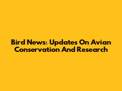 Bird News: Updates On Avian Conservation And Research