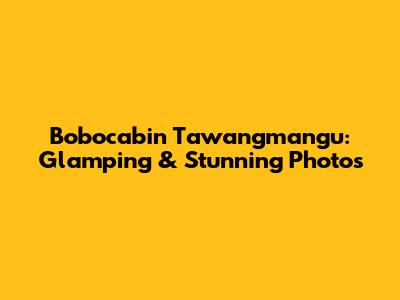 Bobocabin Tawangmangu: Glamping & Stunning Photos