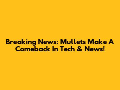 Breaking News: Mullets Make A Comeback In Tech & News!
