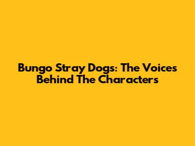 Bungo Stray Dogs: The Voices Behind The Characters