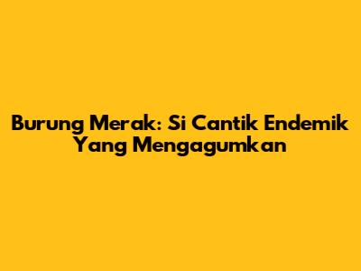 Burung Merak: Si Cantik Endemik Yang Mengagumkan