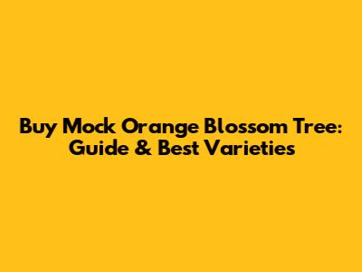 Buy Mock Orange Blossom Tree: Guide & Best Varieties