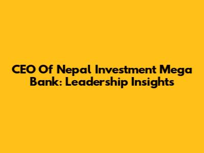 CEO Of Nepal Investment Mega Bank: Leadership Insights