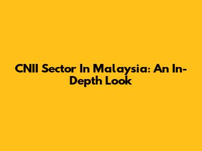 CNII Sector In Malaysia: An In-Depth Look