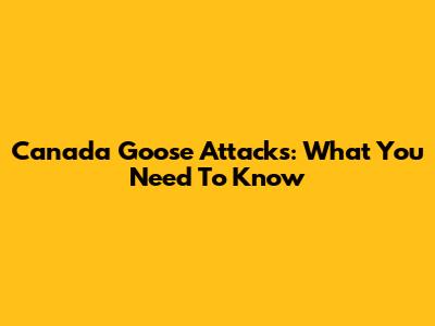 Canada Goose Attacks: What You Need To Know