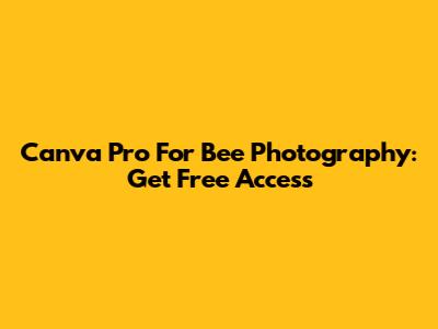 Canva Pro For Bee Photography: Get Free Access