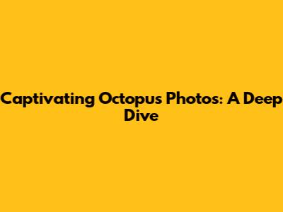 Captivating Octopus Photos: A Deep Dive
