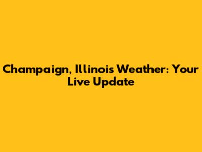 Champaign, Illinois Weather: Your Live Update