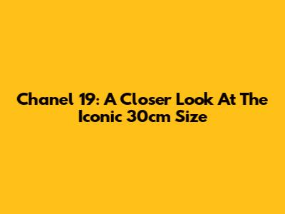 Chanel 19: A Closer Look At The Iconic 30cm Size