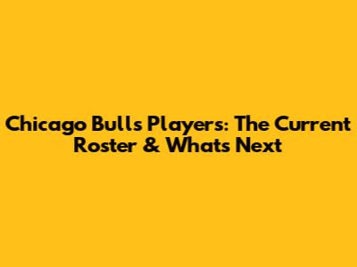 Chicago Bulls Players: The Current Roster & What's Next