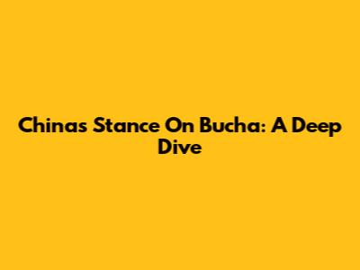 China's Stance On Bucha: A Deep Dive