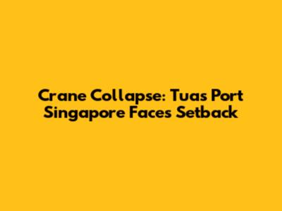 Crane Collapse: Tuas Port Singapore Faces Setback