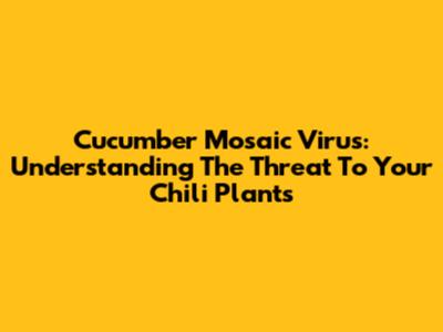 Cucumber Mosaic Virus: Understanding The Threat To Your Chili Plants