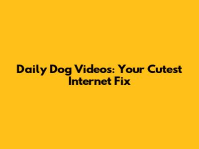 Daily Dog Videos: Your Cutest Internet Fix