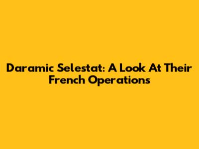 Daramic Selestat: A Look At Their French Operations