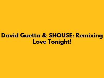David Guetta & SHOUSE: Remixing 'Love Tonight'!