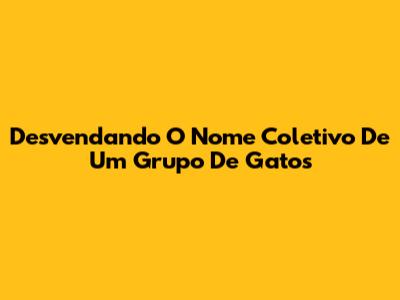 Desvendando O Nome Coletivo De Um Grupo De Gatos