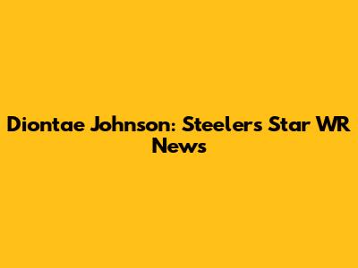 Diontae Johnson: Steelers' Star WR News