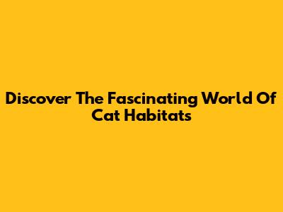 Discover The Fascinating World Of Cat Habitats