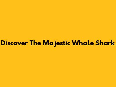 Discover The Majestic Whale Shark