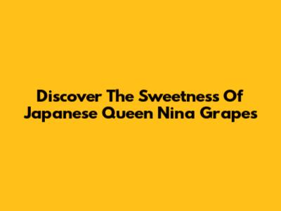 Discover The Sweetness Of Japanese Queen Nina Grapes
