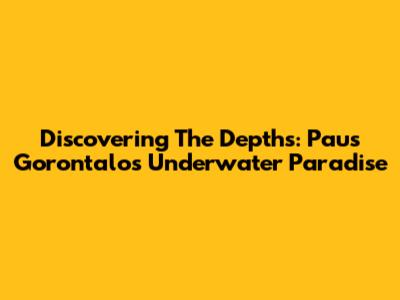 Discovering The Depths: Paus Gorontalo's Underwater Paradise