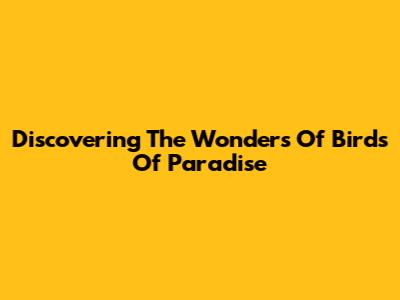 Discovering The Wonders Of Birds Of Paradise