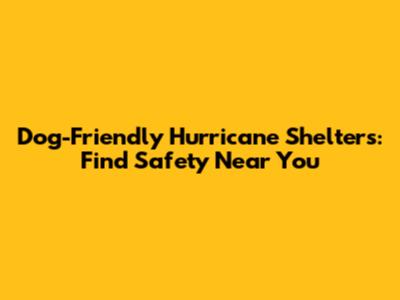 Dog-Friendly Hurricane Shelters: Find Safety Near You