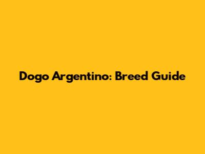 Dogo Argentino: Breed Guide