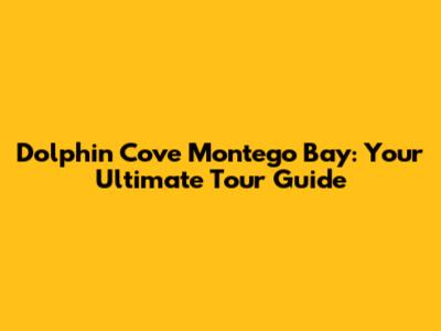 Dolphin Cove Montego Bay: Your Ultimate Tour Guide