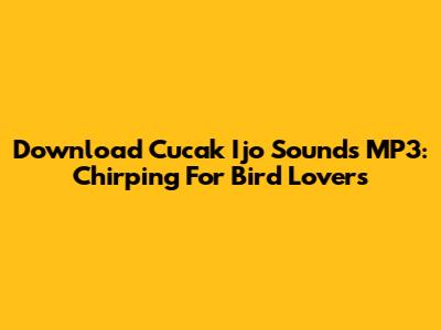 Download Cucak Ijo Sounds MP3: Chirping For Bird Lovers