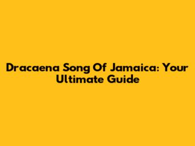 Dracaena Song Of Jamaica: Your Ultimate Guide
