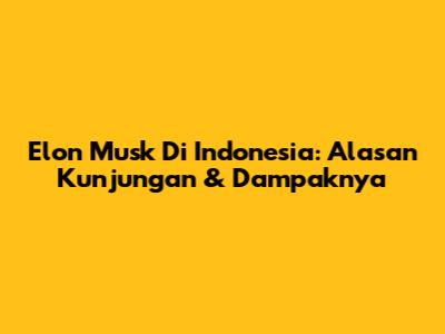 Elon Musk Di Indonesia: Alasan Kunjungan & Dampaknya