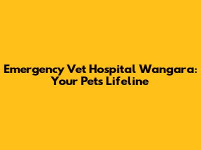Emergency Vet Hospital Wangara: Your Pet's Lifeline